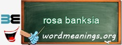 WordMeaning blackboard for rosa banksia